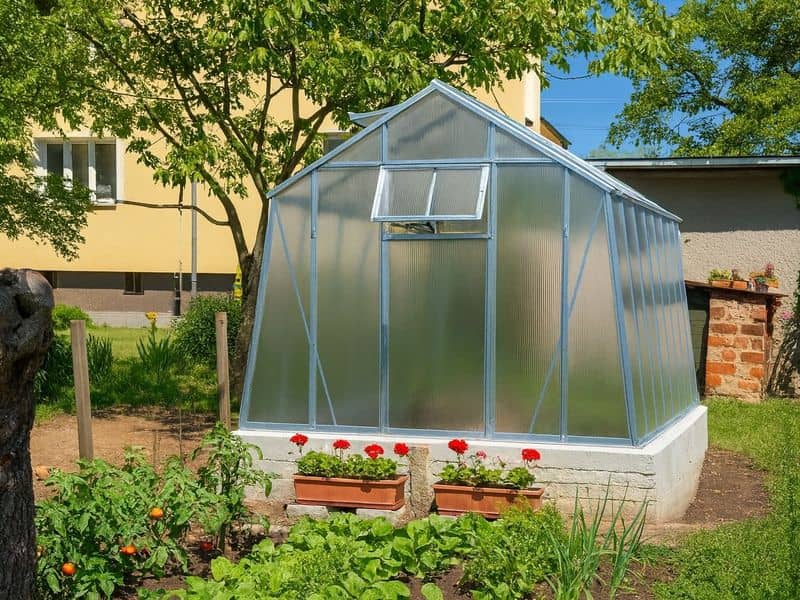 Skleník LIMES VIVA uprostred záhrady